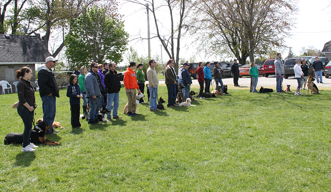 Sunday morning Dog Training Class.