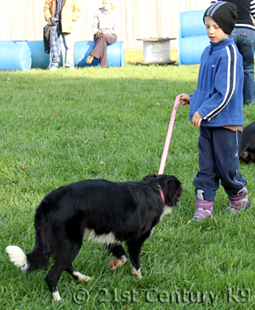 Basic Obedience Dog Training